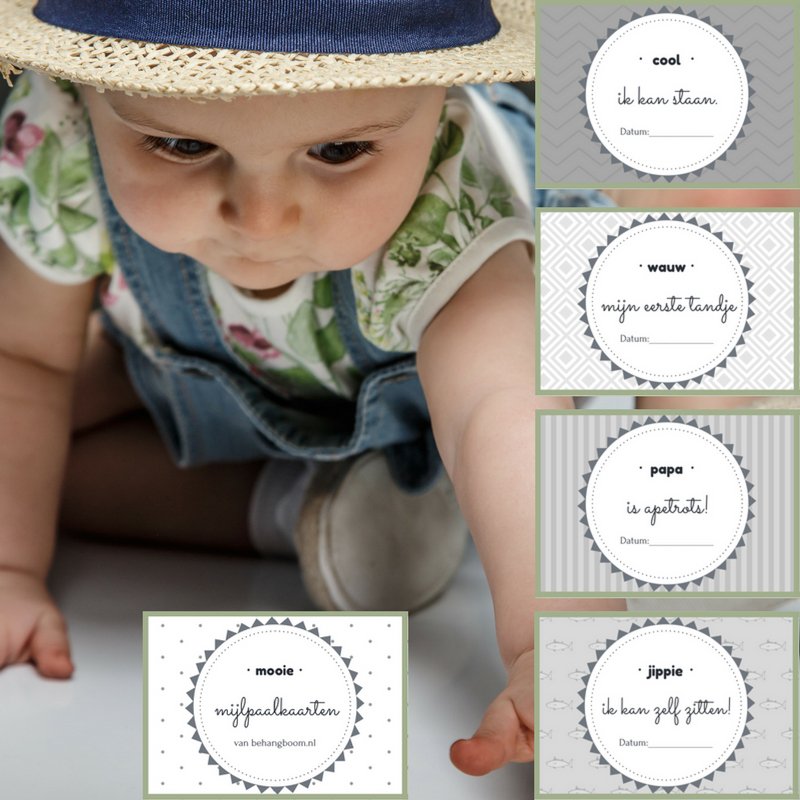#Gratis #mijlpaalkaarten bij #behangboom. Kijk op de site en vraag ze aan. behangboom.nl