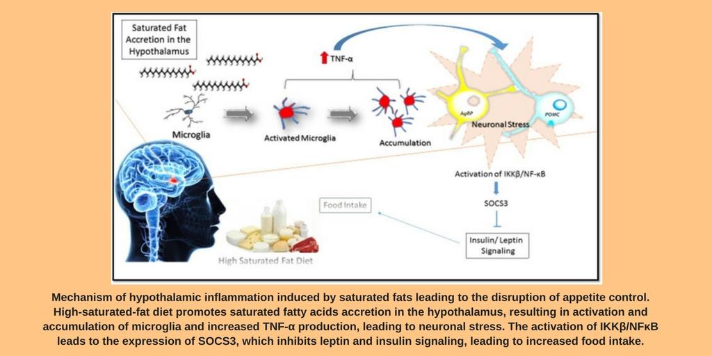 online trends in colloid and