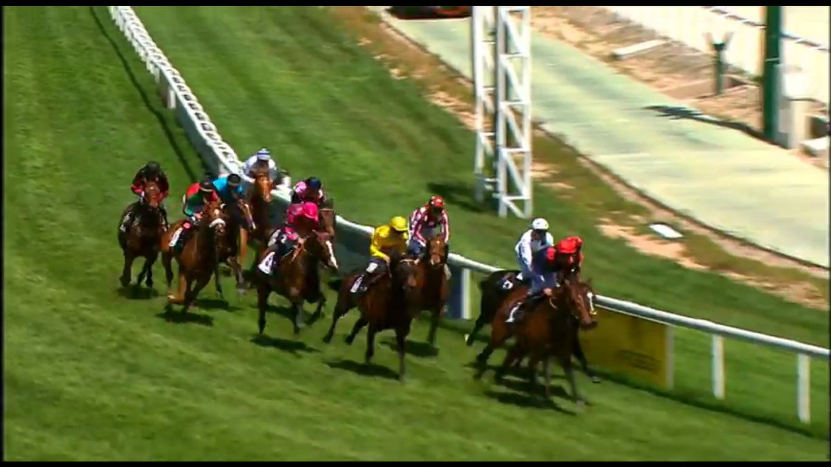 SlewPrince's tweet photo. #HIPISMO en @TurfZH ZUBEROA (FR) con O.URBINA se llevó el G.P. DUQUE de ALBURQUERQUE otro (uno-dos) para el #THOROGRAPH https://t.co/usP2e8QPql