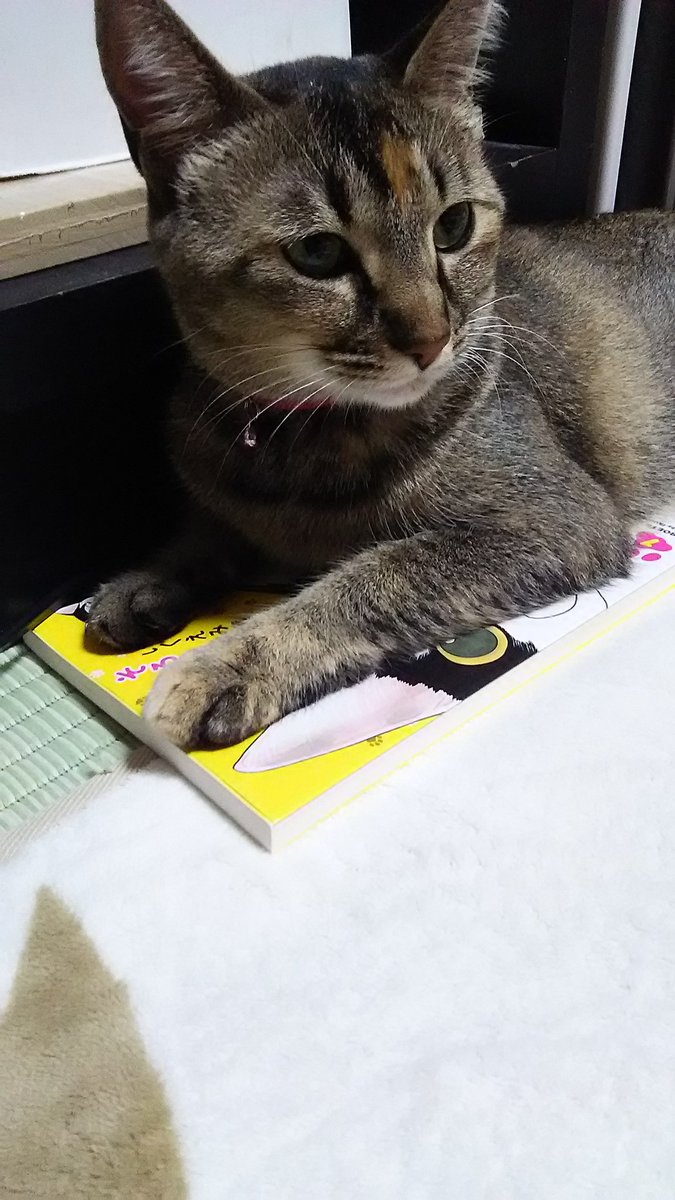 そろえてちょうだい そろえてちょうだい