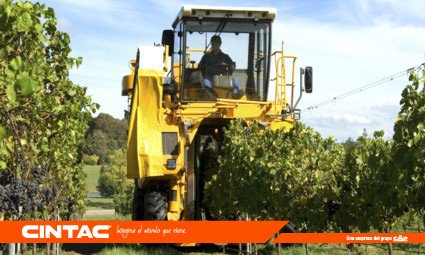 #CentralCintac se preocupa por el medio ambiente, no utiliza químicos nocivos, tierras menos contaminadas. http://hubs.ly/H076PHD0