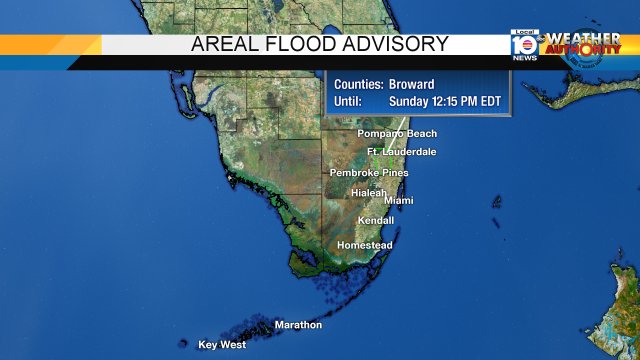Local 10 WEATHER ALERT - Areal Flood Advisory issued for the highlighted areas. More info bit.ly/krCDQ?utm_medi… https://t.co/Dl5qZ0pu4y