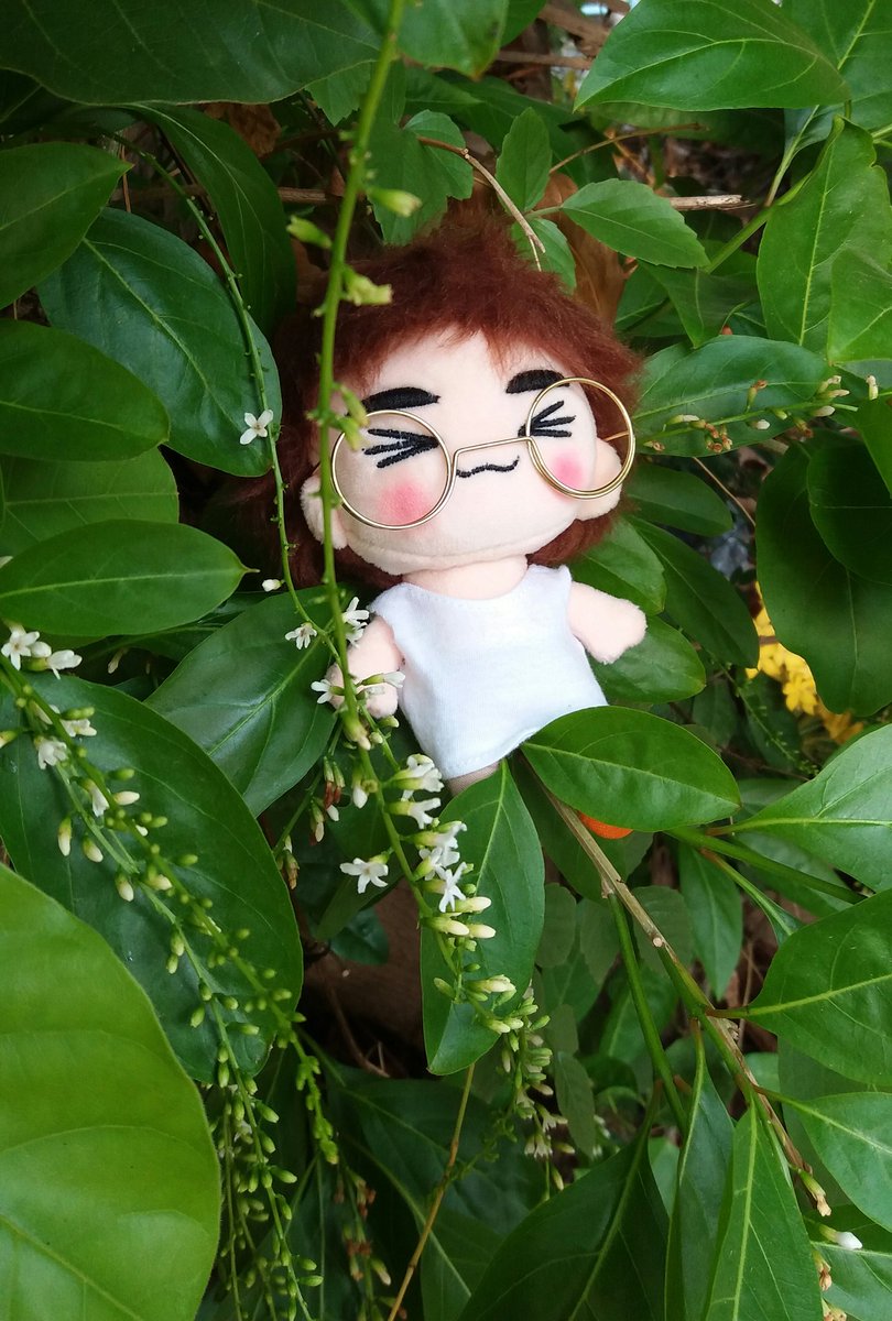 Minjii_Minjiko tweet picture