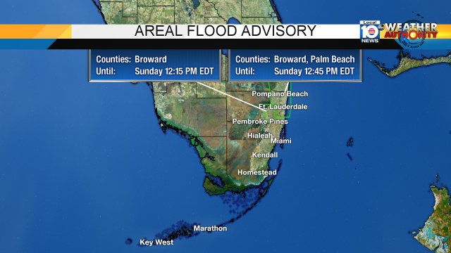 Local 10 WEATHER ALERT - Areal Flood Advisory issued for the highlighted areas. More info bit.ly/krCDQ?utm_medi… https://t.co/oEToD8Awvp