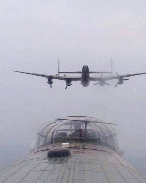 ron_eisele's tweet image. Fellow travellers in the mist
