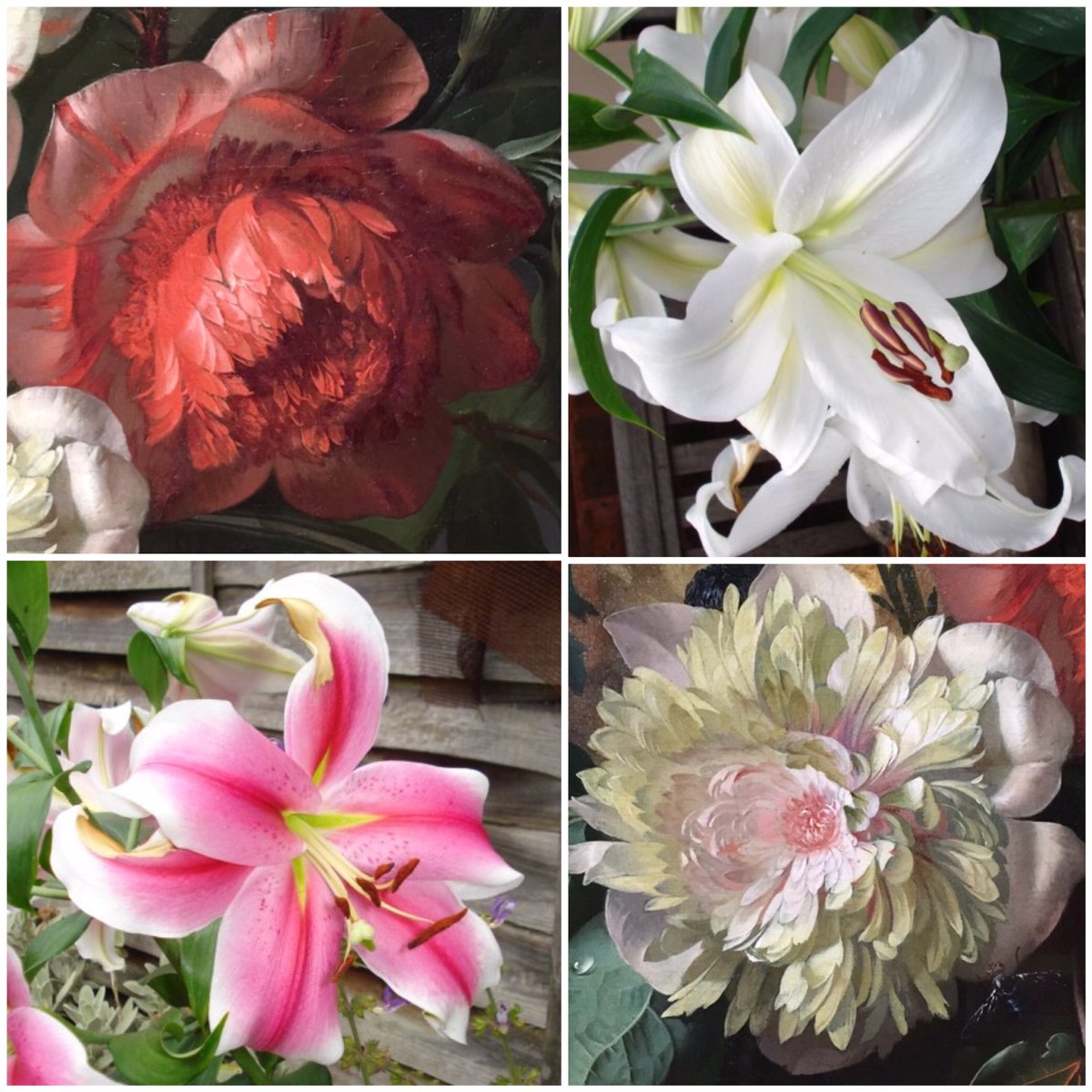 I love Dutch flower paintings &amp; they inspire me. My garden planning service creates seasonal scent, colour &amp; variety  for your small garden