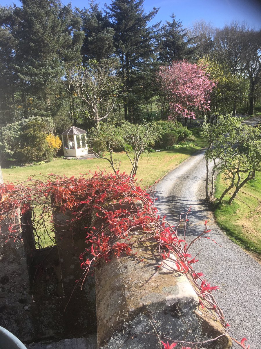 Ross morning <a href="/russinblack/">👩🏼‍🤝‍👨🏻❤️🇬🇧</a> <a href="/Pulse2PulseUK/">#Pulse2PulseUK #DigitalMediaScotlandUK</a> <a href="/MHH_E/">MyHolidayHome.Exchge</a> <a href="/infiniteeye/">Infinite Eye</a> @ThreaveEstate <a href="/CreativWhithorn/">CreativeWhithorn</a> <a href="/HighKirkland/">Donald Dunlop</a> @_loveouroceans