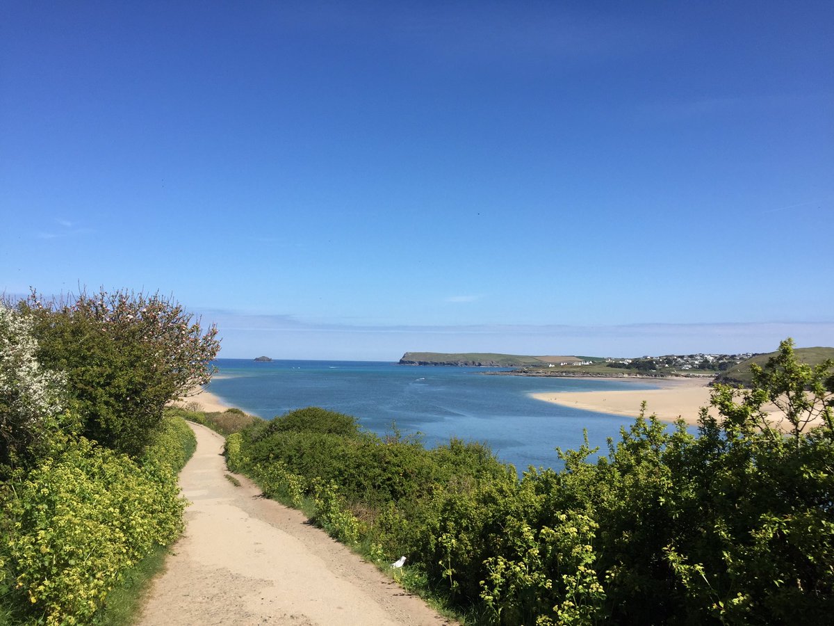 Isobel Bryce tweet media