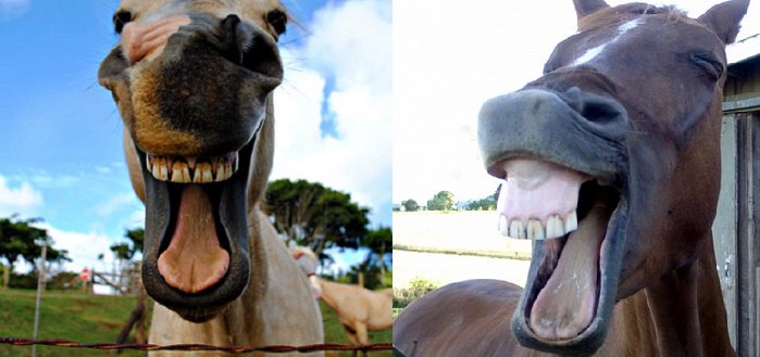 Лаосская народная республика-2: Лавров снова оговорился, назвав террористическую "ЛНР" Лаосом - Цензор.НЕТ 3818