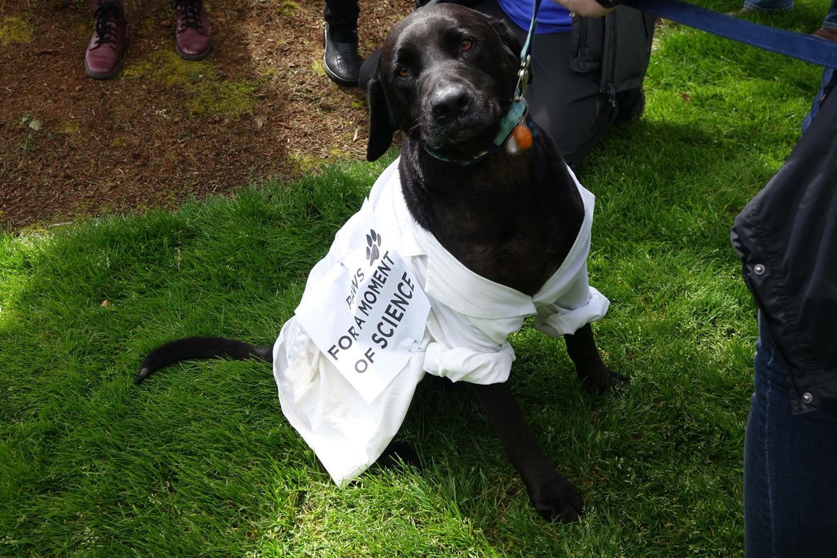 ScienceMarchCOR's tweet image. #MfSCorvallis 💙 lab in lab jacket! ⚗️🔬🔭