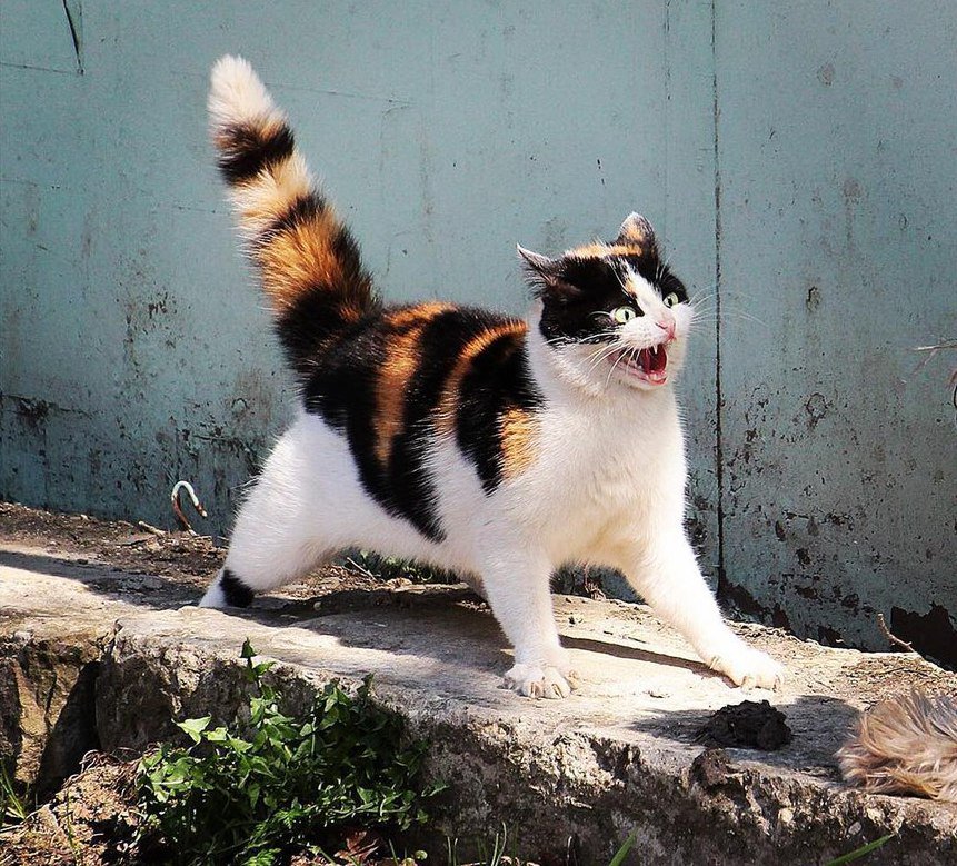 Это я немного на нервах в последнее время, из-за происходящего вокруг пиздеца