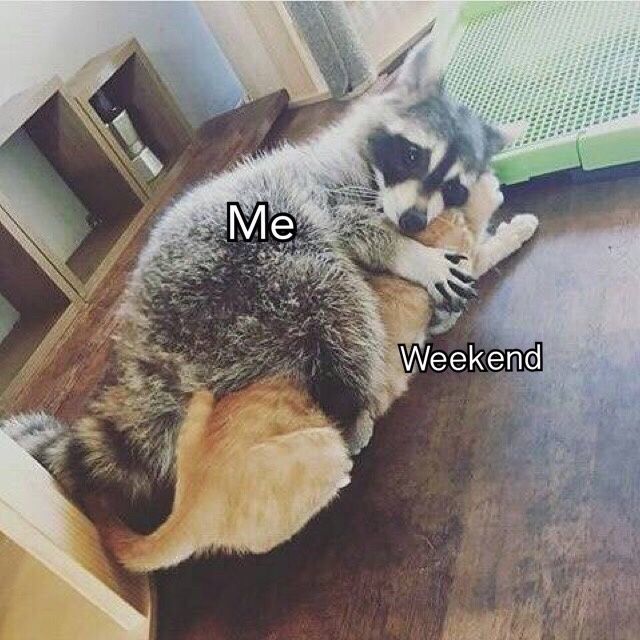 9GAG's tweet photo. Don't go.
Don't feel like you have to. https://t.co/xdn2nchUy2