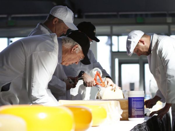 Shorewest_WI's tweet image. Cheese is one step closer to becoming our official dairy product! It&apos;s a mozza-must! #ShorewestRealtors #CheeseHumor buff.ly/2oQhYqN