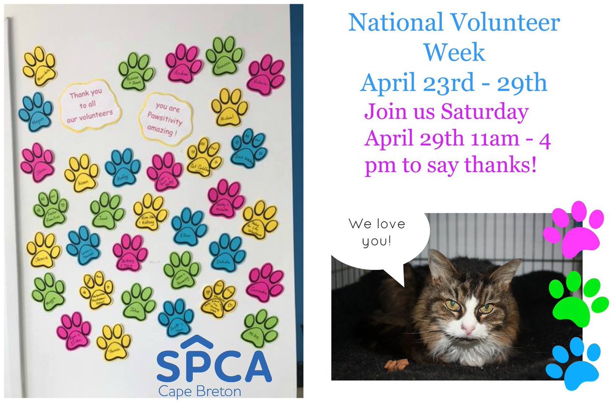 It's national volunteer week! We are so lucky to have such amazing support! Join us Next Saturday to celerebrate our volunteers!
