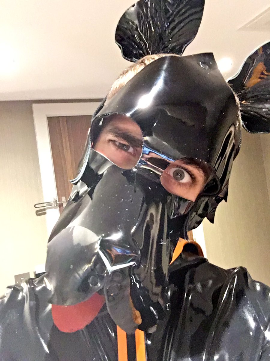 Birthday pup is ready for Slick

Let's go get drunk!!!

#MRM8