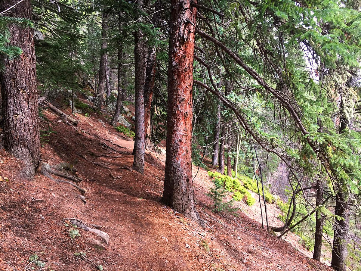 HelixStrength's tweet photo. First short hike of the season. What a beautiful place. I ❤️ Colorado!! #helixstrength #hiking #coloradoisawesome #outdoorbeauty #fitness https://t.co/plP4aIUTfP