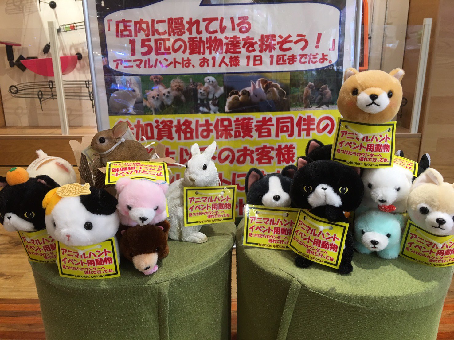 公式 楽市楽座 楽市楽座 京都桂川店 スプリング特別イベント イベント説明 店内に隠れている１５匹の動物達を探そう 見つけた動物を中央カウンターに連れて行ってね 素敵なプレゼントがあるよ アニマルハントはお１人様１日１匹まで 楽市楽座