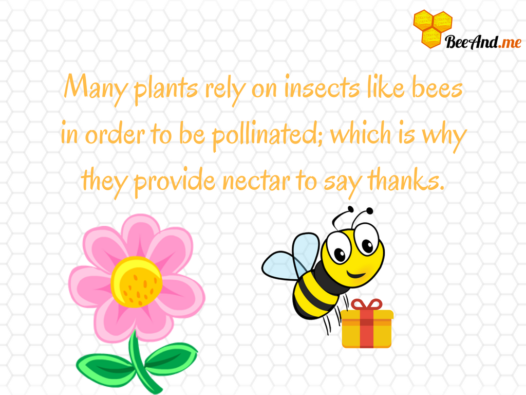 beeandme1's tweet photo. #beeandme #savethebees https://t.co/CGHxXJofgM