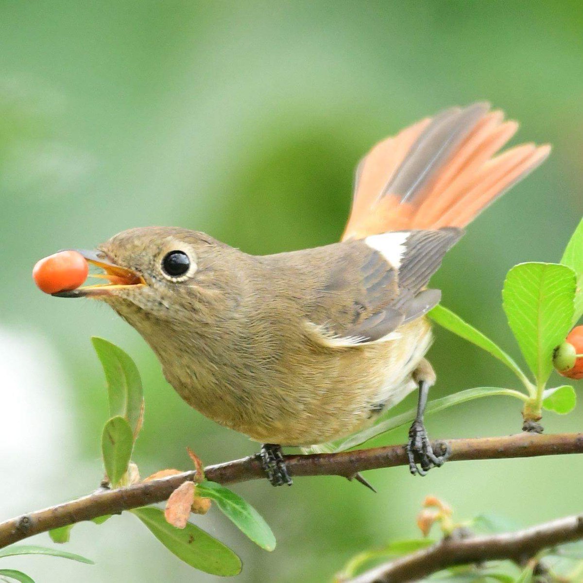 Good morning 🐦😘🐦