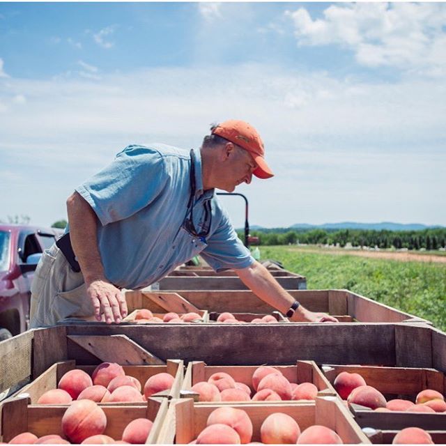 4PFoods's tweet photo. #EarthDay Awards for Farmer of the Year: Jim of Saunders Brothers Farm Market πhttps://t.co/tmTV9EsQ2G #ThankaFarmer #VAfarms https://t.co/vQbodl2FsZ
