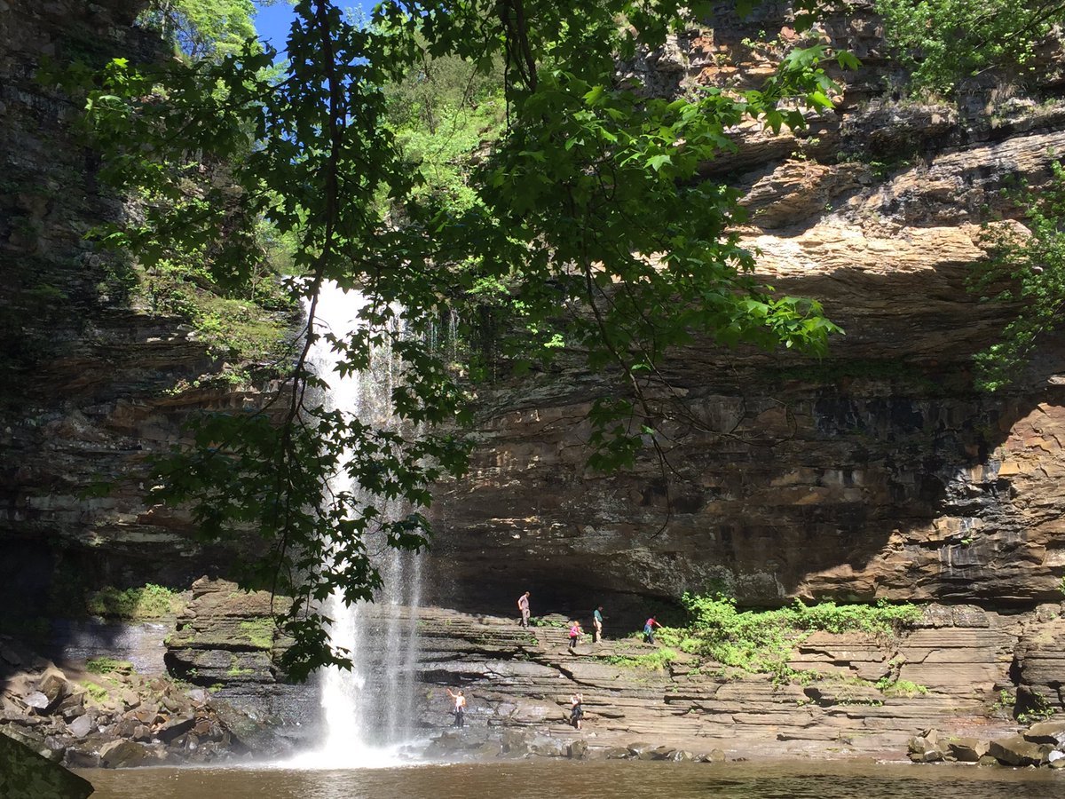 greenal11's tweet photo. #LostInPace - got my steps in at beautiful Petit Jean Mtn! Uphill should count 2x... @honeycuttmd1 @DiAMcDaniel @stormentrn @brady6517 https://t.co/vGGrABqVhN