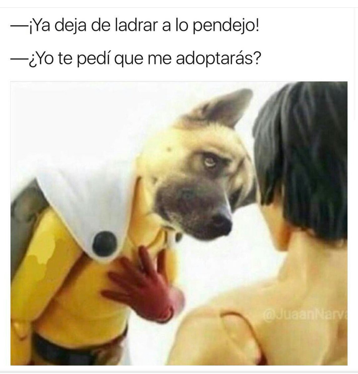 Los mejores memes para viernes por la noche - Humor en Taringa!