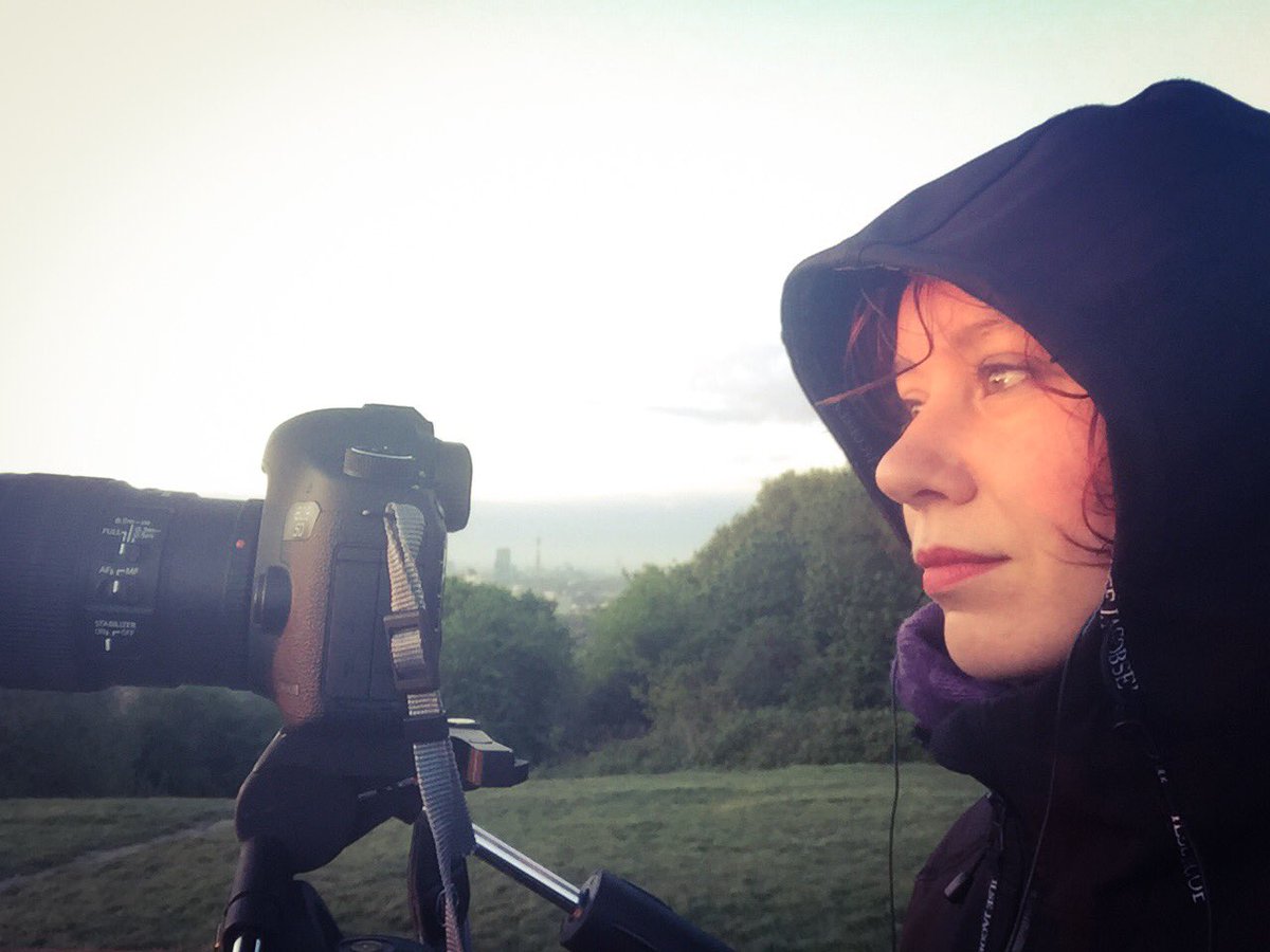 orlandoflush's tweet image. "When you wake up, you will find me." 
#londonsunrise #hampstead #belsizing #zefrenchfox #hampsteadheath #poetry #guillemettem #philosophy
