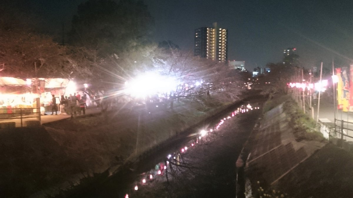 with_funabashi's tweet image. ＊桜祭り＊船橋　海老川ジョギングロード - blog.we-with.co.jp/%ef%bc%8a%e6%a…