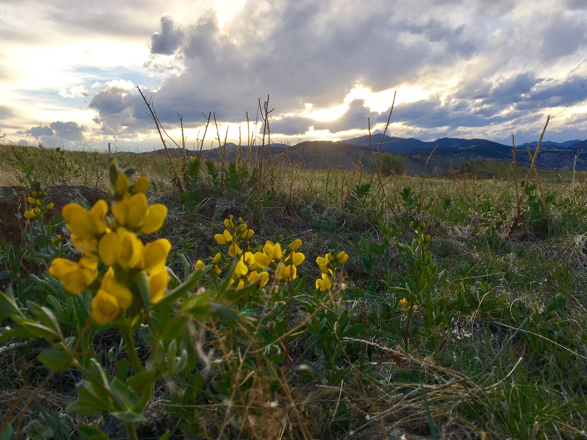 North Table Mountain. Not too shabby tonight. #9wx