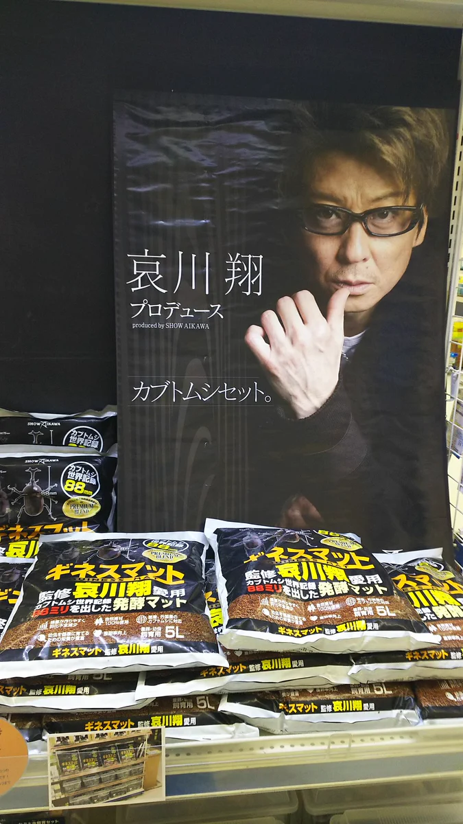 ムダにかっこいいｗｗ哀川翔さんプロデュースのカブトムシセットｗｗ