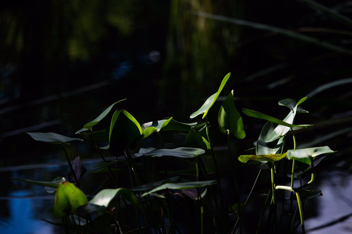 Doc_TMFOC's tweet image. Good work! @clh7yu