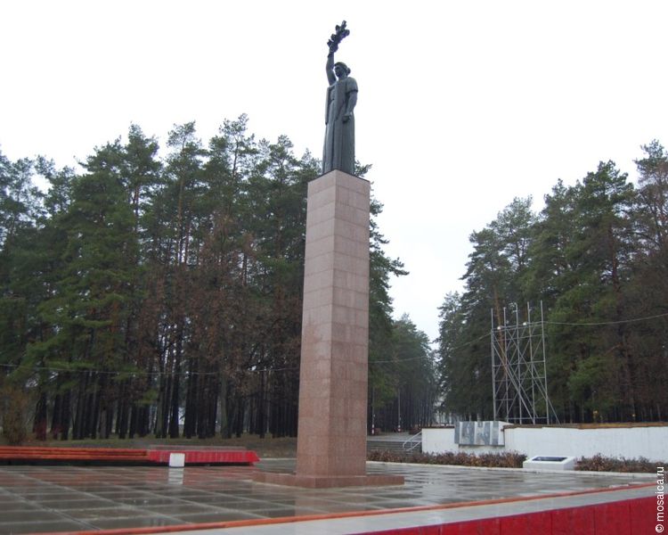 В Димитровграде установлено 14 памятников и обелисков, 11 бюстов, 4 памятных знака бойцам фронтов и труженикам тыла.