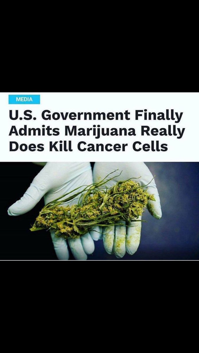MarijuanaPosts1 tweet picture