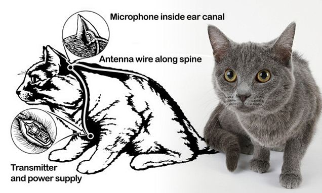 animaux espions  les services secrets  espionage nano C-KW2lGXYAAuSMj