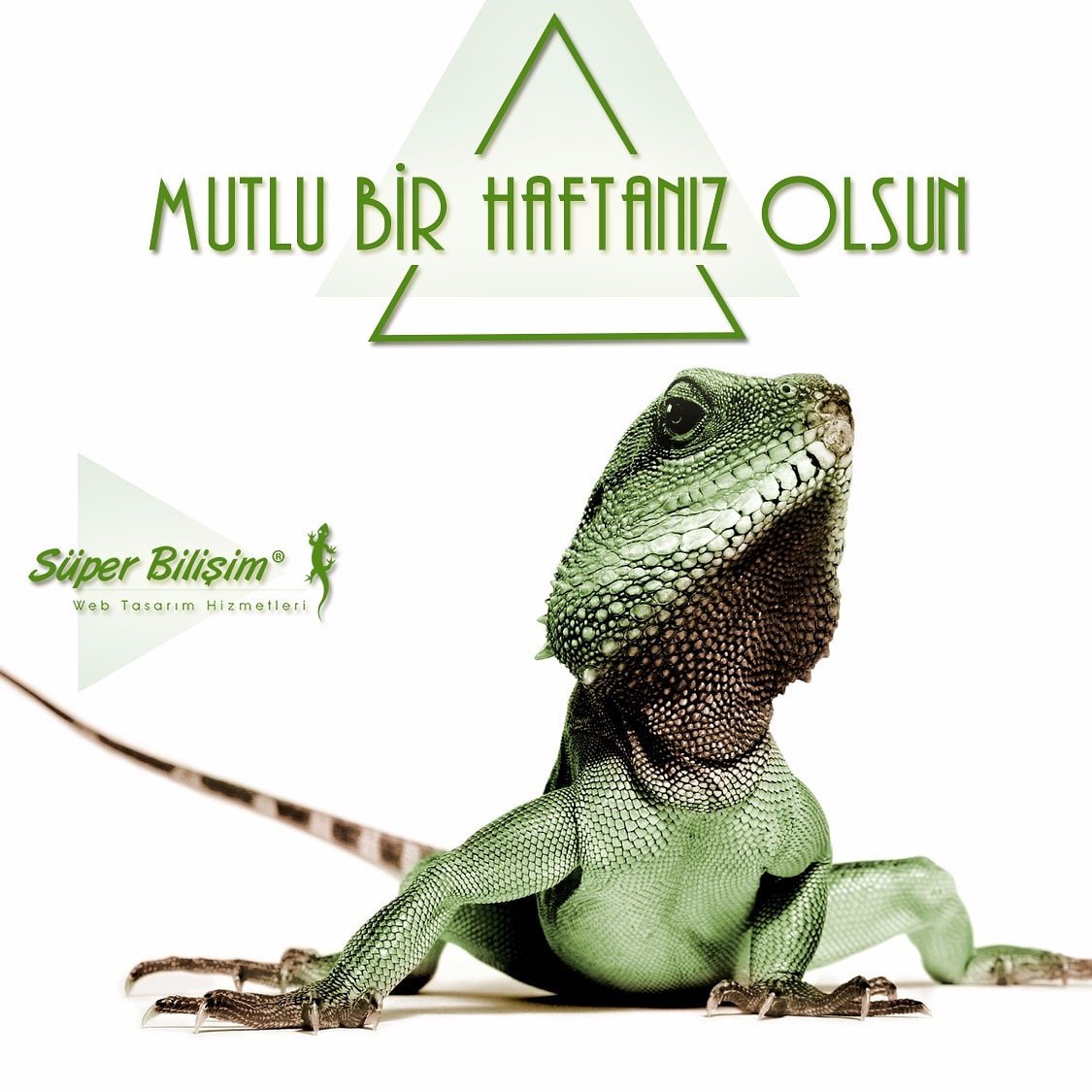 #iyihaftalar