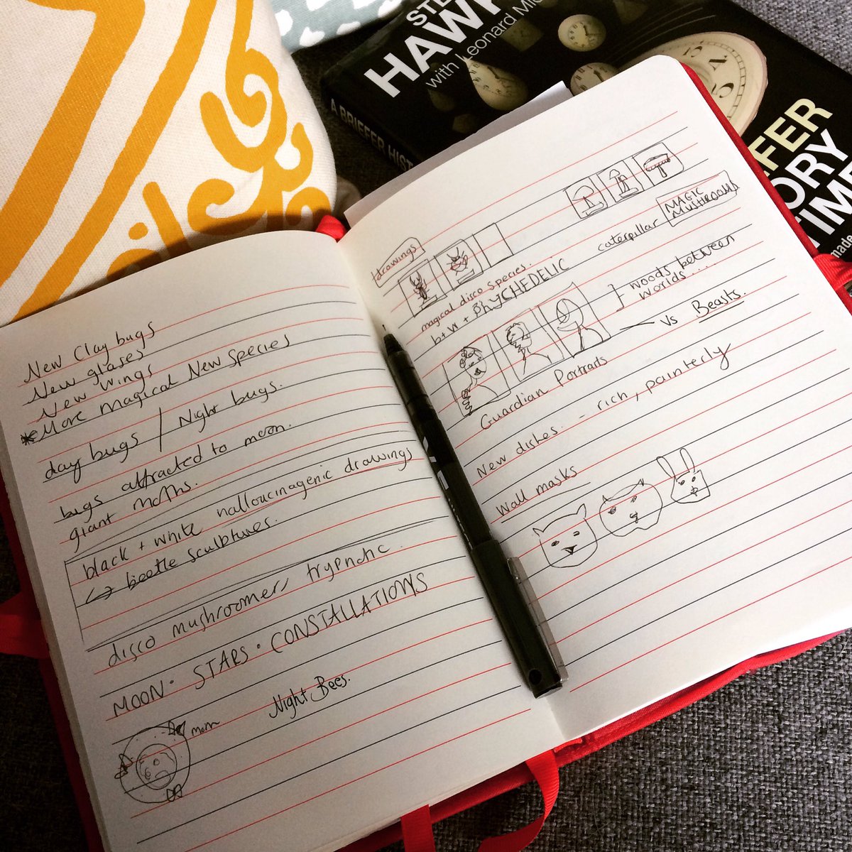 Here's my dream book...