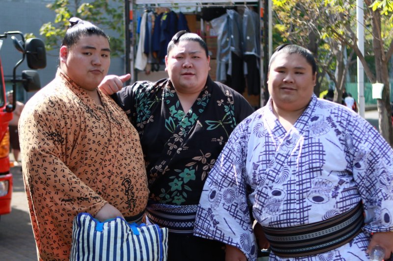オレンジ白力士相撲チューリップ浴衣反物