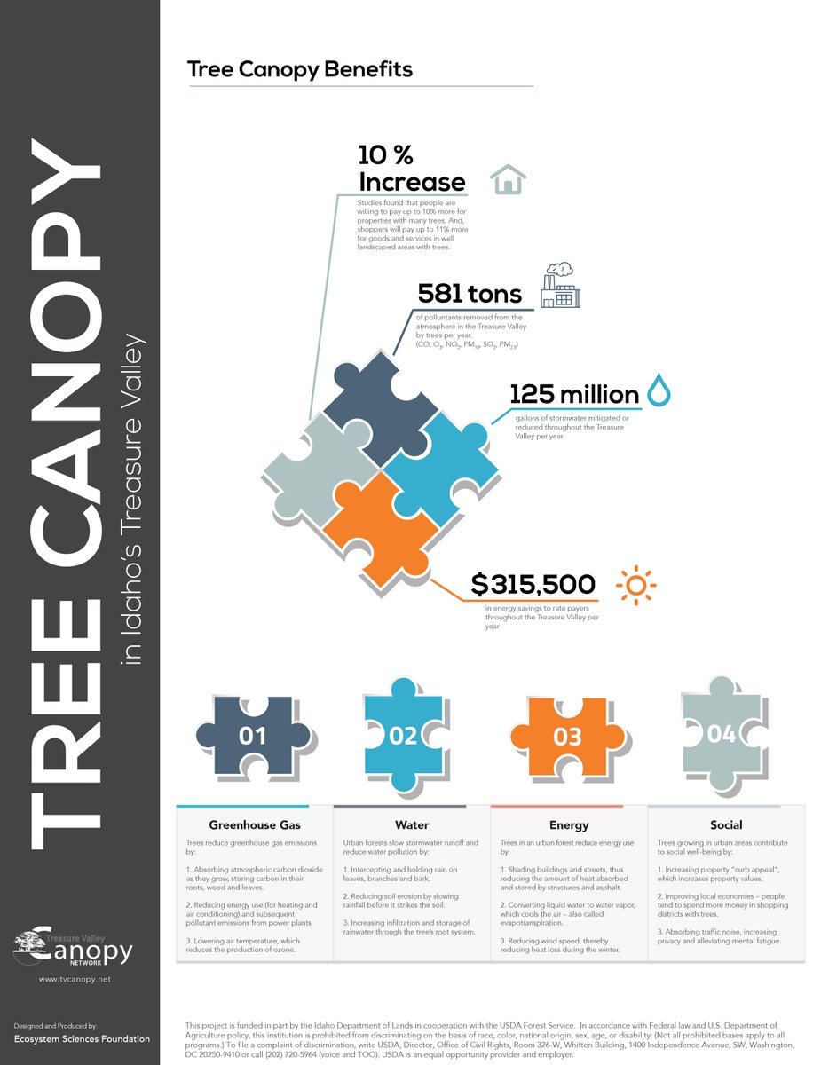 TVCanopy's tweet image. This wk we celebrate #IDArborDay2017! #DYK that our #CommunityTrees provide: #CleanAir #CleanWater &amp;amp; #HumanHealth. tvcanopy.net/air-quality/
