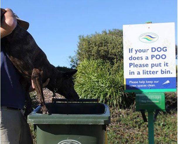 TurnThisPage tweet media