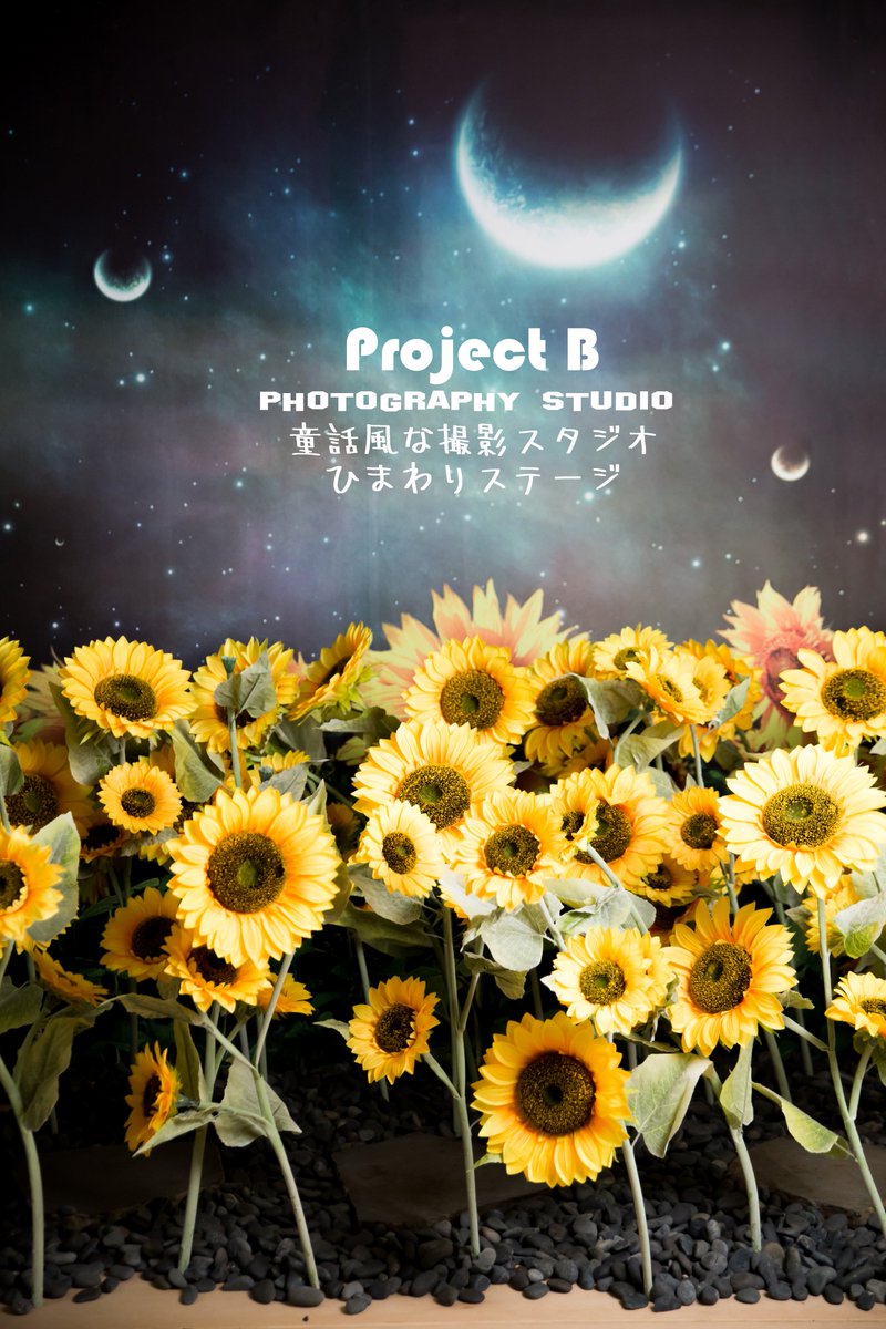 StudioProjectb's tweet image. 幻想的なひまわり背景はとでもかわい！！
子供の撮影スタジオ
@StudioProjectb