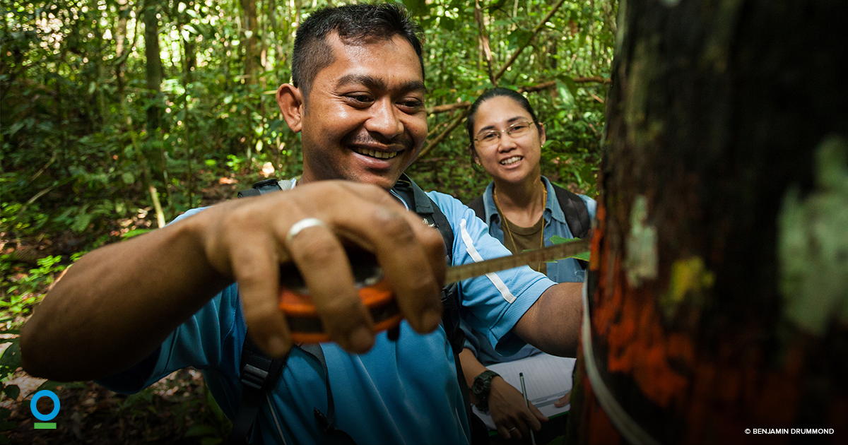 ConservationOrg's tweet photo. Make #EarthDay every day with these sustainable tips https://t.co/jbd9kxQigI #mondaymotivation https://t.co/Gsgay5RGKy