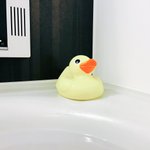 これは違和感ゼロwお風呂のスマホ置きはアヒルがおすすめ!