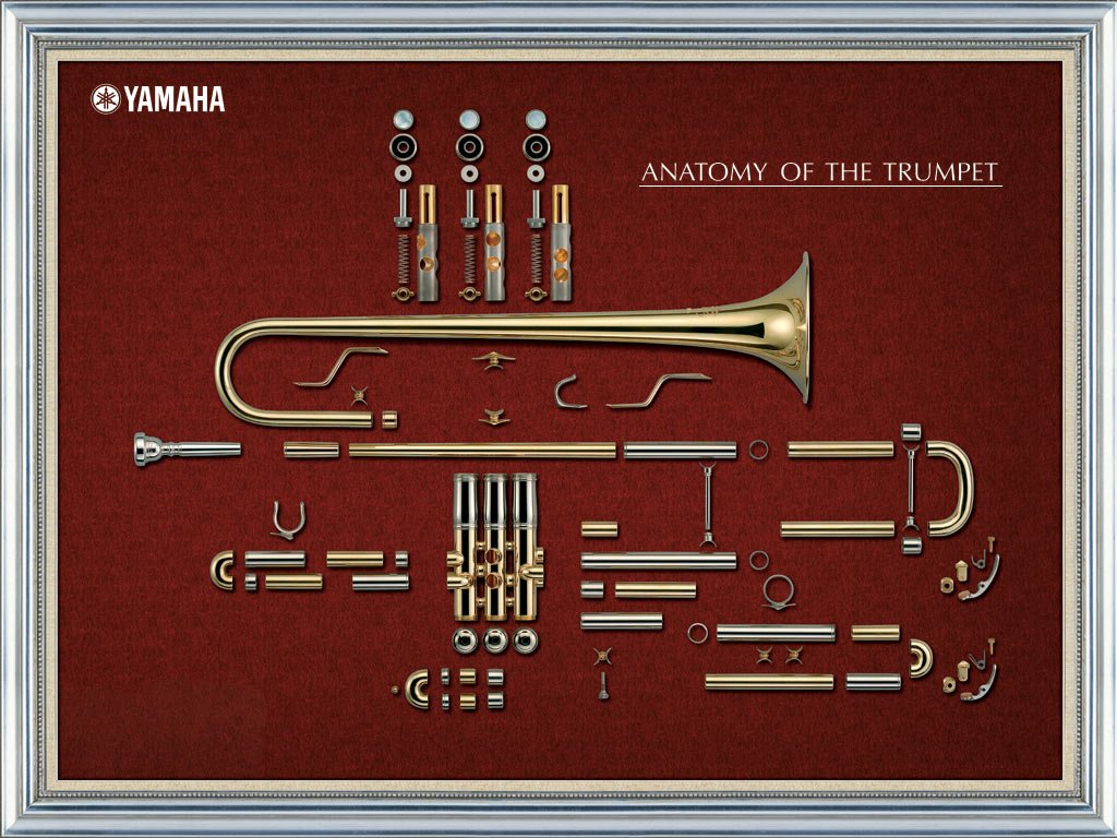 ヤマハ 音楽部 Twitter પર 分解図が美しい トランペットの分解図 ベルの曲線の感じが素敵ですよね O V O バルブの構造も興味深い トランペット 管楽器 吹奏楽器 壁紙にどうぞ 待ちうけ