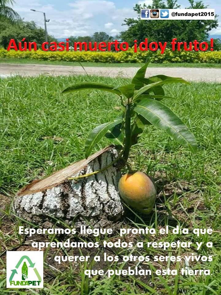 fundapet2015's tweet photo. Aun en la adversidad la nobleza de la naturaleza no tiene límites. #FelizLunes #24Abr #Guayana #medioambiente #sustentabilidad #CONCIENCIA https://t.co/EmcBKCwscJ