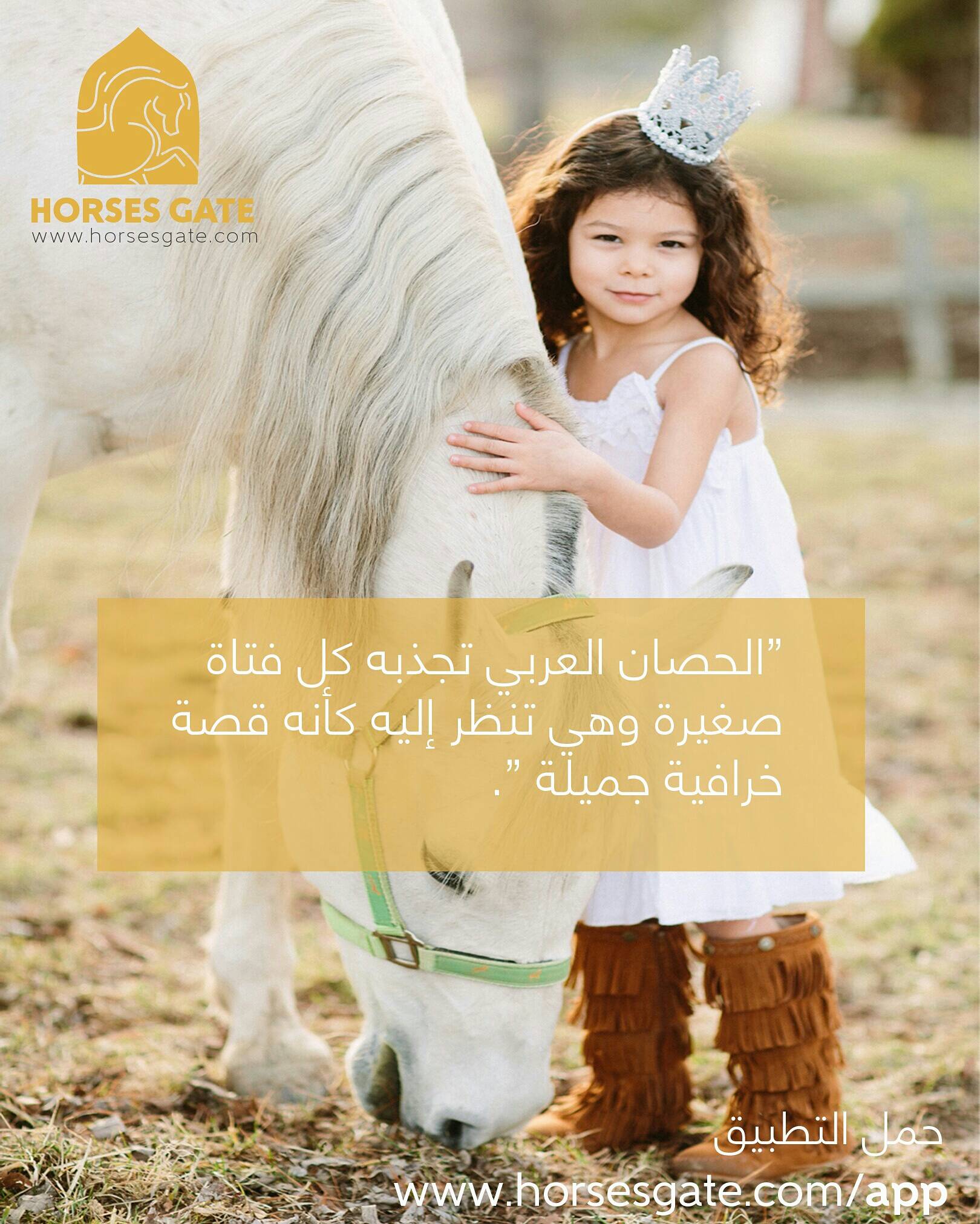 Horses Gate Sur Twitter الحصان العربي تجذبه كل فتاة صغيرة وهي تنظر إليه كأنه قصة خرافية جميلة بوابة الخيل Horsesgate