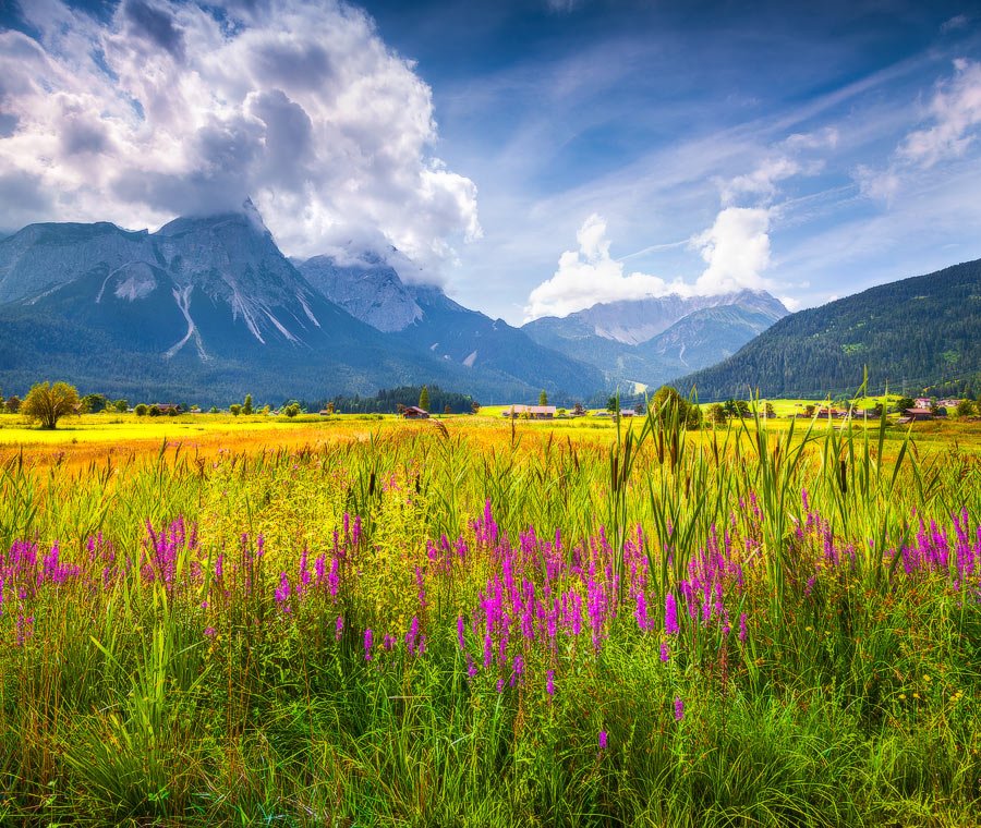 Blossom valley of Zugspitze Golf club near Lermoos village, Rhaetian Alps, Austria
More of my photos shutterstock.com/g/andrewmayovs…
#shutterstock