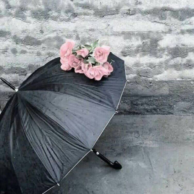 <a href="/omr__11/">__omr__</a> @lo_zeen يا ربِّ لُطفَكَ بالّذينَ نحبُّهُمْ
حقِّق أمانيهِمْ، وفرِّج كَربَهُمْ
وأقِرَّ أعيُنَهُمْ بفَيضِ سعادة
وأنِرْ بِأنوارِ الهِدايَةِ دَربَهُمْ