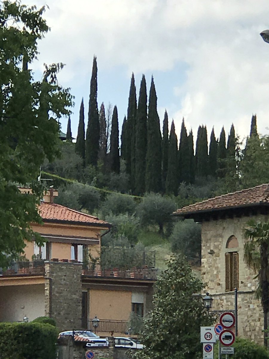 LupoDiPrateria's tweet photo. In vacanza a #Firenze mi faccio una passeggiata fino a San #Miniato😊
Cipressi toscani😍 https://t.co/OaKq2IoY9j