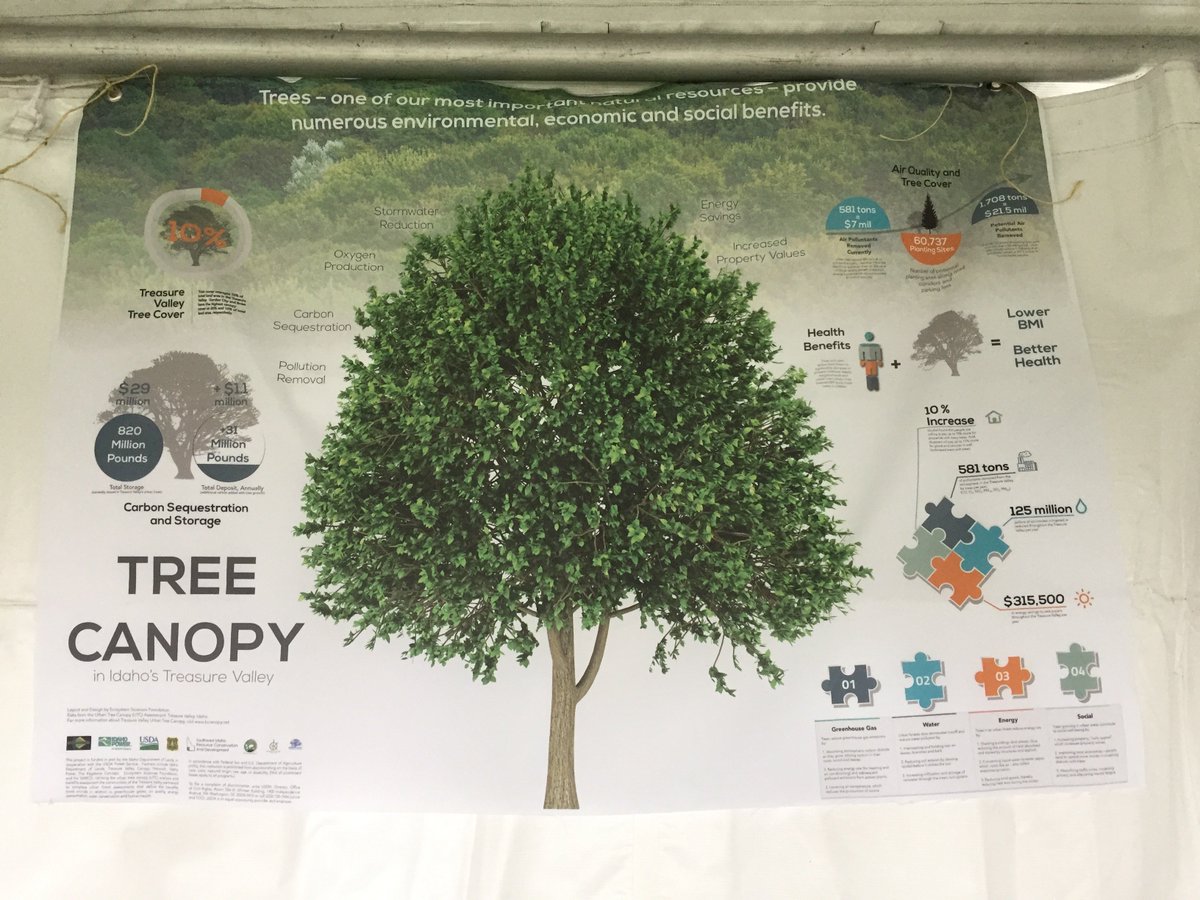TVCanopy's tweet image. This wk we celebrate #IDArborDay2017! #DYK that our #CommunityTrees provide: #CleanAir #CleanWater &amp;amp; #HumanHealth. tvcanopy.net/air-quality/