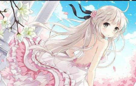 AnimeSola tweet media